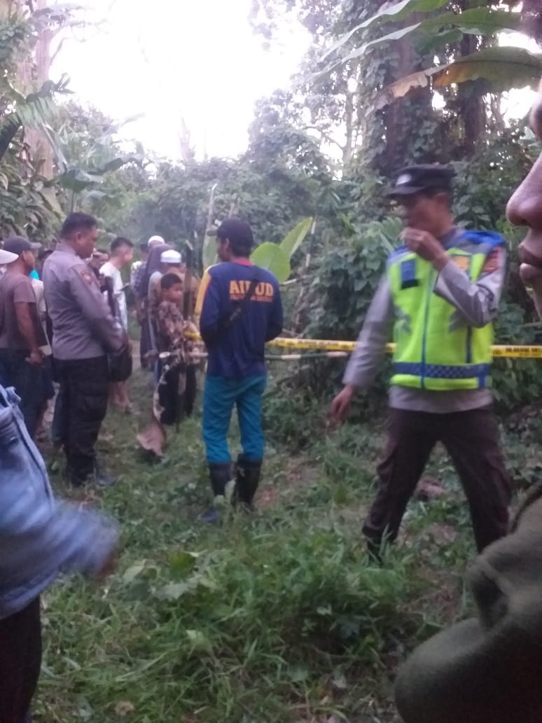 GEGER!! Warga Desa Danau Lamo Temukan Mayat Sudah Membusuk di Semak