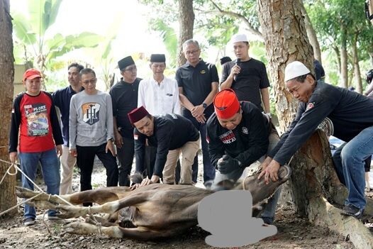 Bank Jambi Sembelih 52 Hewan Kurban 