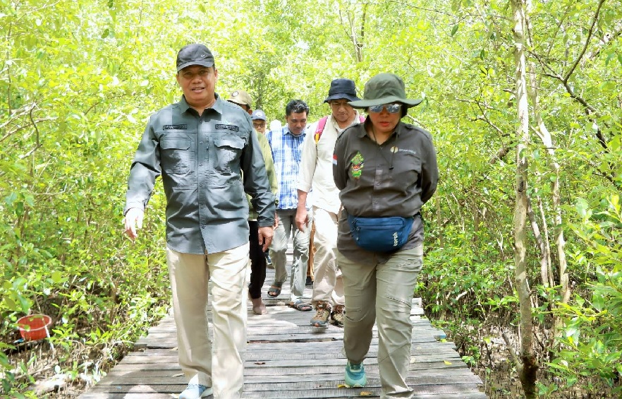 Wabup Katamso Sambut Tim Verifikasi Kementerian Kehutanan di Mangrove Pangkal Babu