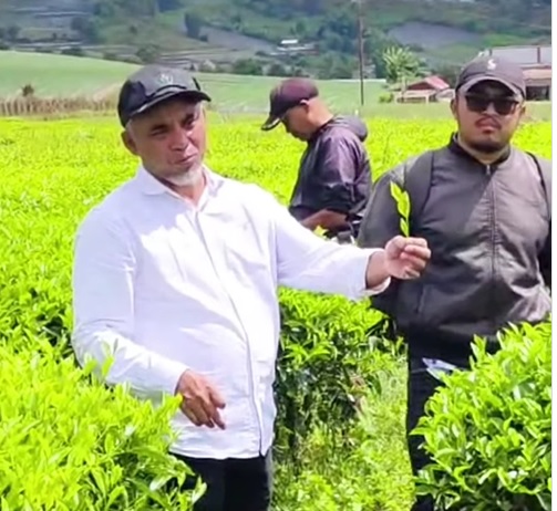 Region Head PTPN IV Regional 4 Tinjau Kebun Teh Danau Kembar, Tekankan Pemeliharaan Berkelanjutan