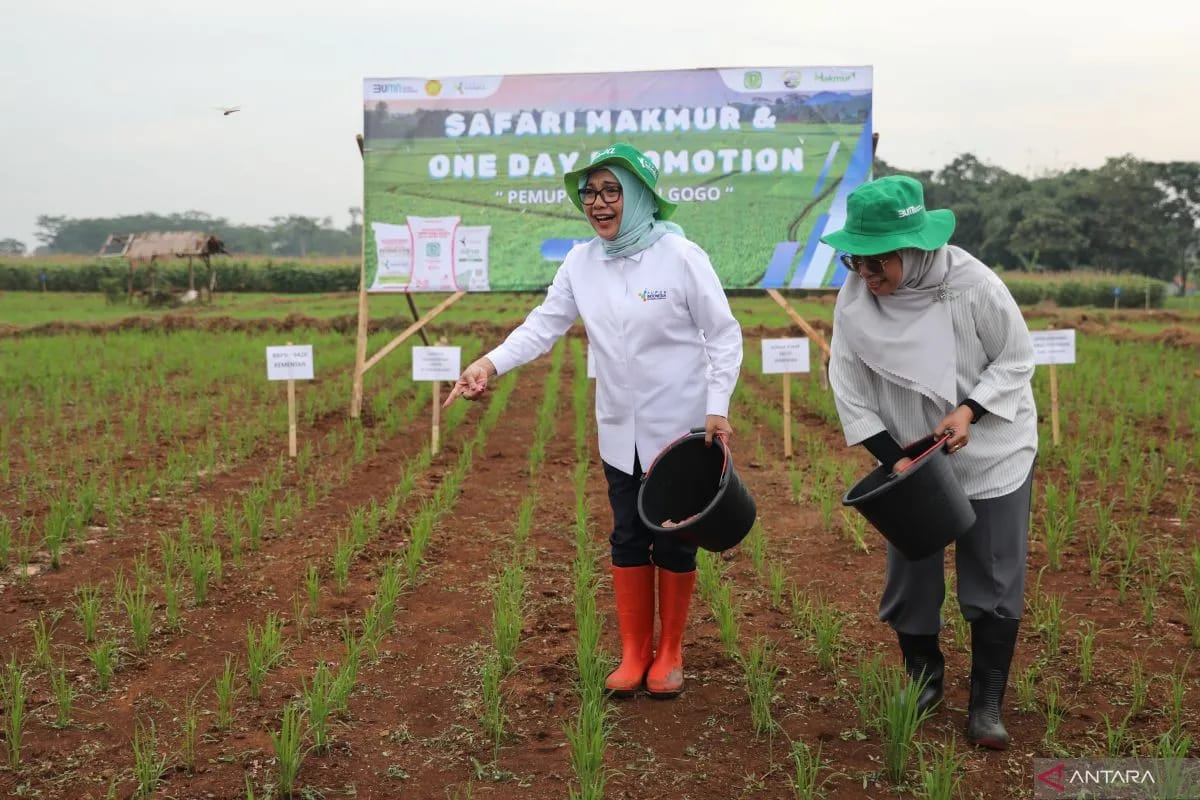 Pupuk Indonesia Berikan Pendampingan Tingkatkan Kesejahteraan Petani