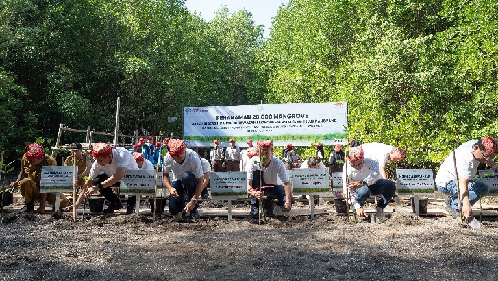 Peringati Hari Lingkungan Hidup Sedunia, Yayasan AHM Tanam Puluhan Ribu Mangrove