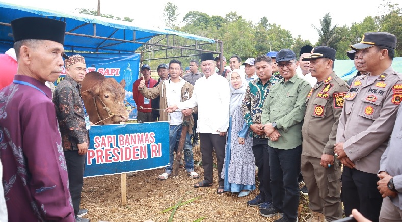 Sapi Kurban dari Presiden Prabowo Seberat Hampir 1 Ton di Kerinci Diserahkan Bupati Monadi