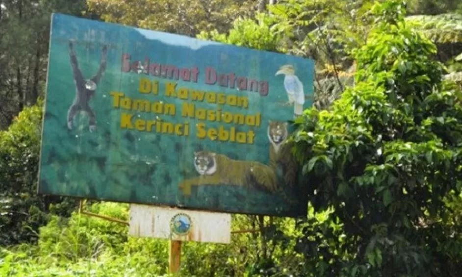Kejari Sungai Penuh Selidiki Dugaan Jual Beli Lahan Ilegal di TNKS