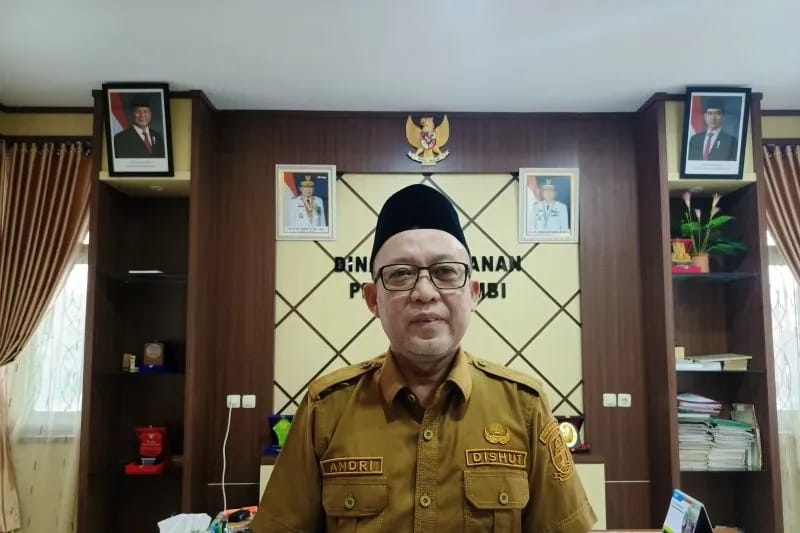 Dishut 32 Persen Hutan di Jambi Masuk Kawasan Konservasi