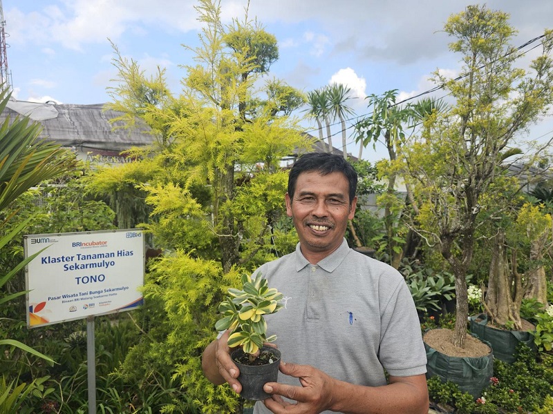 Sukses Jadi Mata Pencaharian Warga Sekitar, Ini Kisah Klaster Usaha Tanaman Hias Binaan BRI 