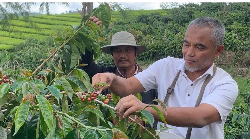 Region Head PTPN IV Regional 4 Jambi-Sumbar Kunjungi Kebun dan Pabrik Kayu Aro