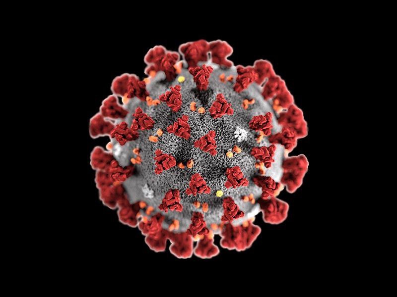 Hati-Hati, Virus Omicron Subvarian XBB Terdeteksi di Indonesia