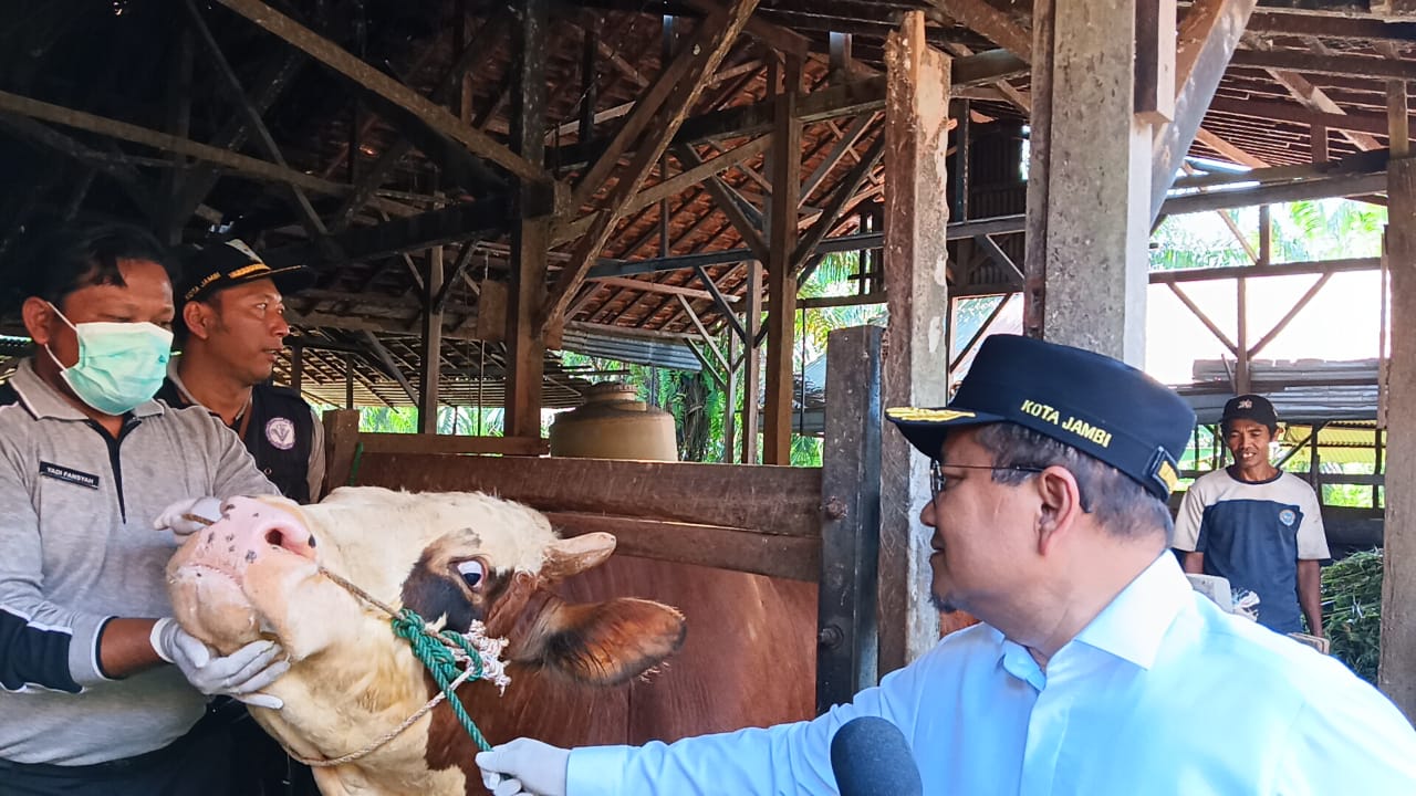 Idul Adha 2025, Pemkot Jambi Sembelih 180 Hewan Kurban