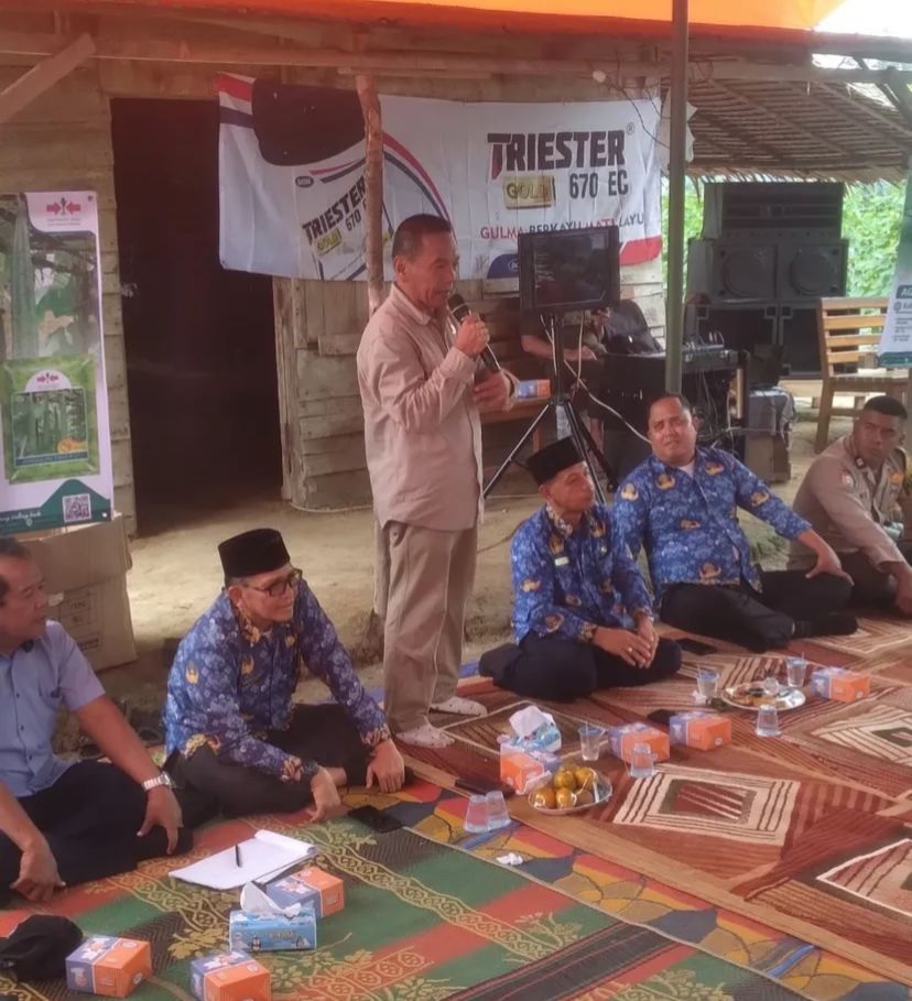 Farmers Field Day, Komisi II DPRD Batanghari Temu Lapangan dengan Petani Gambas Anggun Tavi F1 PT. EWSI