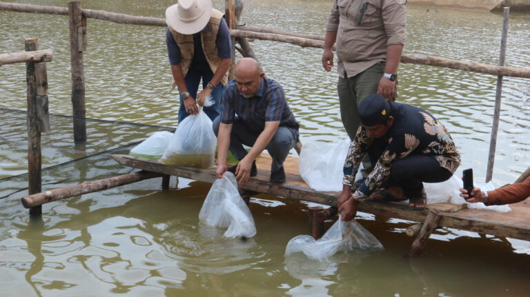 Bupati Dedy Putra Lepas Ribuan Bibit Ikan ke Sungai Batang Bungo