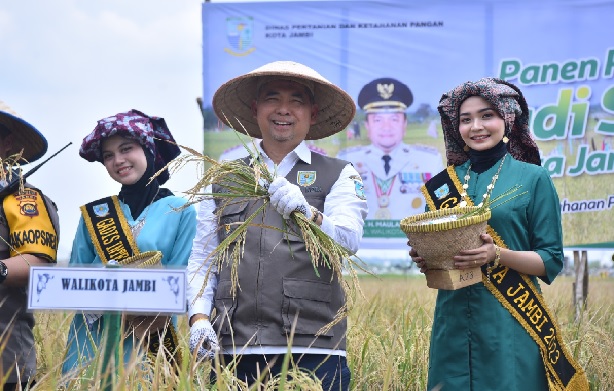 Upaya Pengendalian Inflasi, Fasha Panen Perdana Padi Sawah 