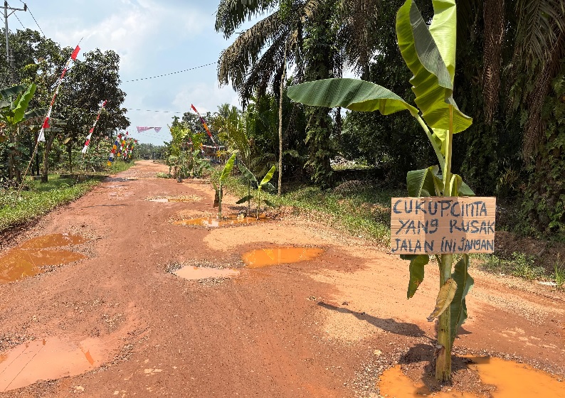 Protes Jalan Rusak, Warga Talang Belido Tanam Pohon Pisang di Badan Jalan