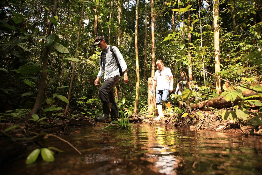 Hutan Milik Raja Charles III di Jambi Rupanya Dipenuhi ‘Harta Karun’