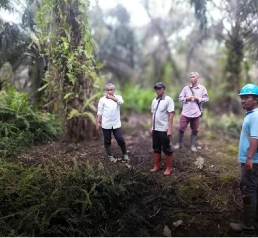 Dorong Kinerja Kebun, Region Head Regional 4 Jambi kembali ke Kebun Lagan