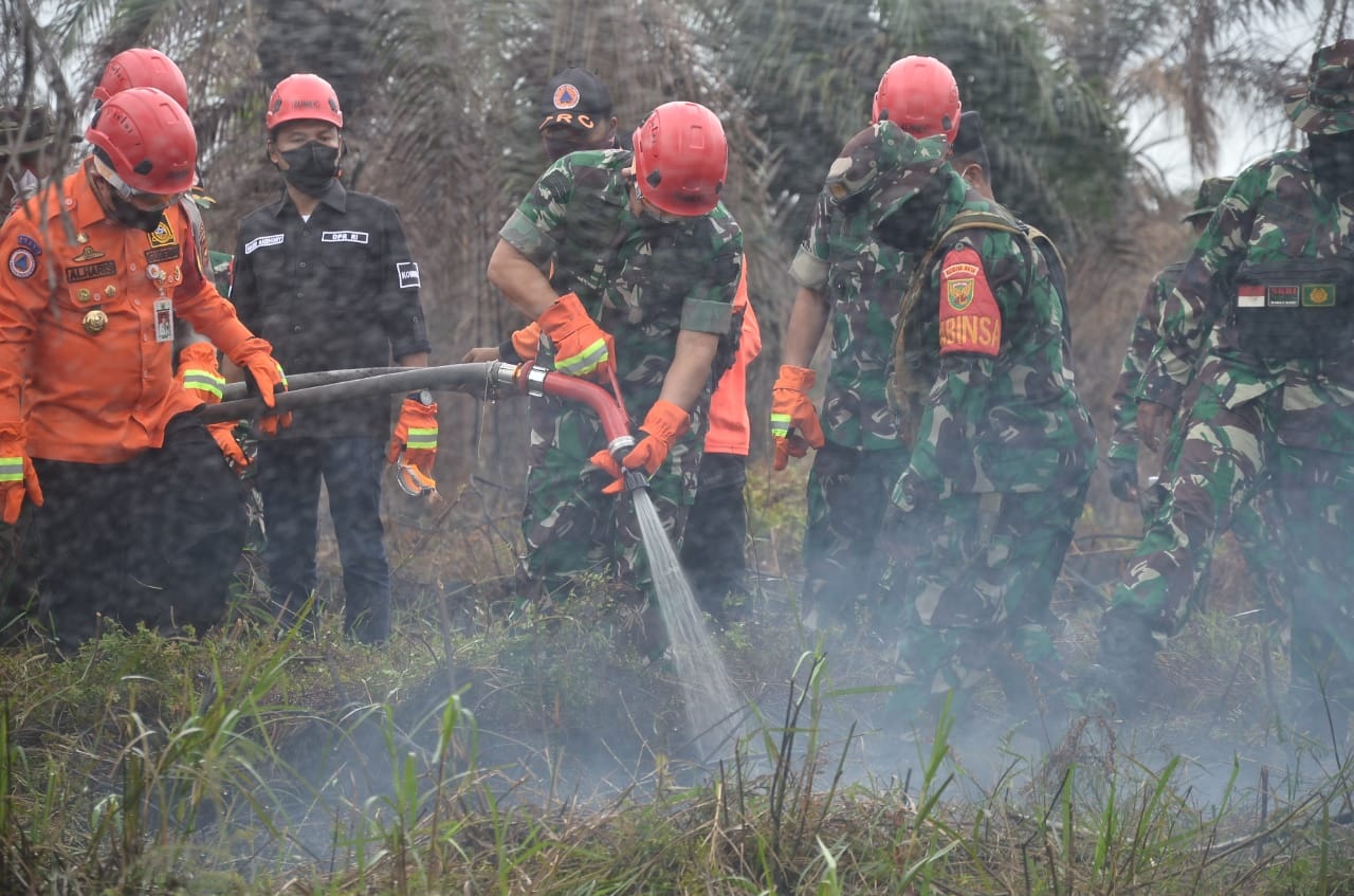 Tinjau Langsung Karhutla di Wilayah Jambi, KASAD Sebut Penanganannya Sudah Baik