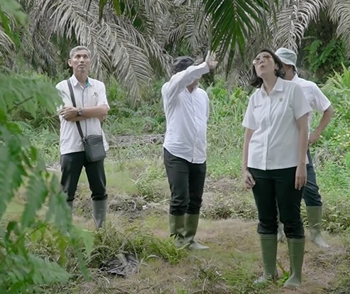 Direktur Keuangan PTPN IV PalmCo Tinjau Kesiapan Produksi Akhir Tahun di Kebun Lagan