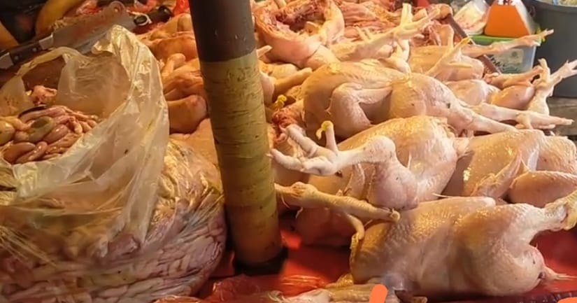 Malaysia Stop Ekspor Ayam ke Singapura, Indonesia Mau Masuk? Eh Ternyata Ayam Kita Termahal Dunia