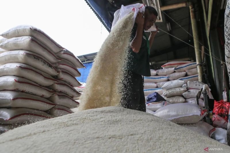 Harga Beras Turun,  Beras Premium Dibanderol  Rp15.733/kg, Beras Medium Rp13.759/kg