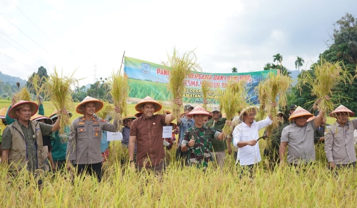 Bupati H M Syukur Panen Raya Padi Sawah di Desa Bukit Batu