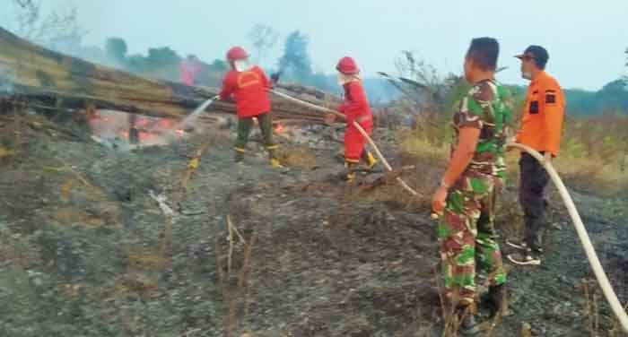 Asap di Kota Jambi Berasal dari Sumatera Selatan