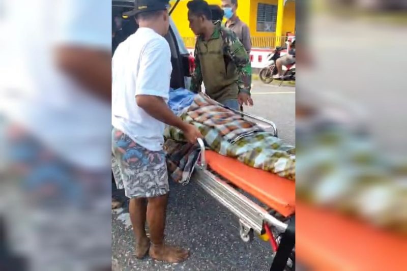 Hilang di Kebun Seharian, Warga Buton Ditemukan Tewas di Perut Ular Piton