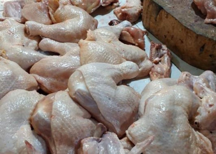 Jelang Idul Adha, Harga Ayam Potong di Tebo Naik Drastis