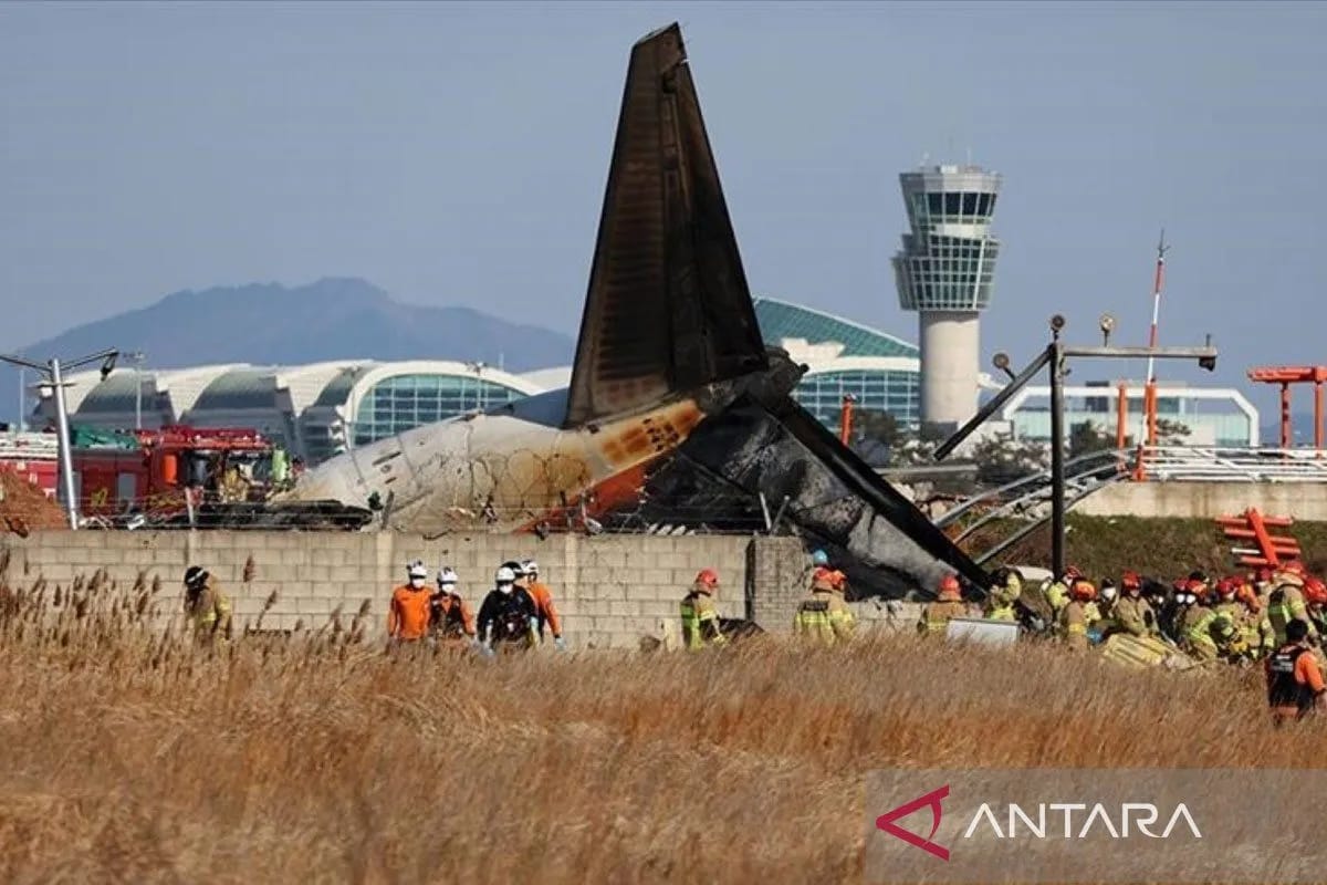 Jeju Air Kurangi Operasi Penerbangan Atas Respons Masalah Keselamatan