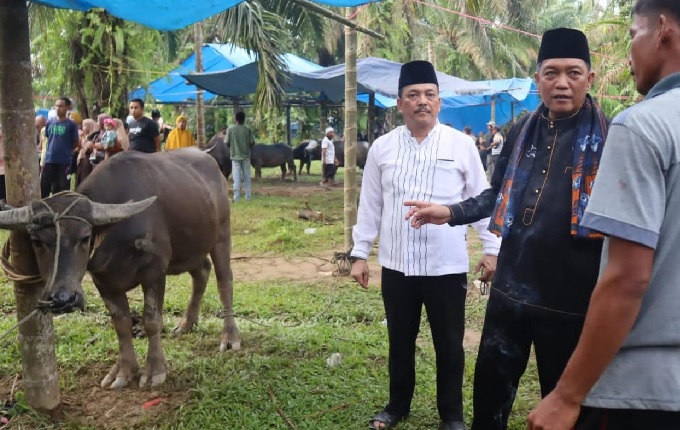 Jelang Puasa, 84 Kerbau Dibantai Secara Massal, Festival Bantai Adat Masyarakat Batin V Rantau Panjang