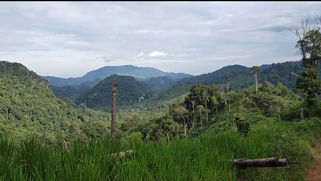 Ekowisata Kawasan Marga Bukit Bulan Sebagai Wisata Alternatif di Kabupaten Sarolangun