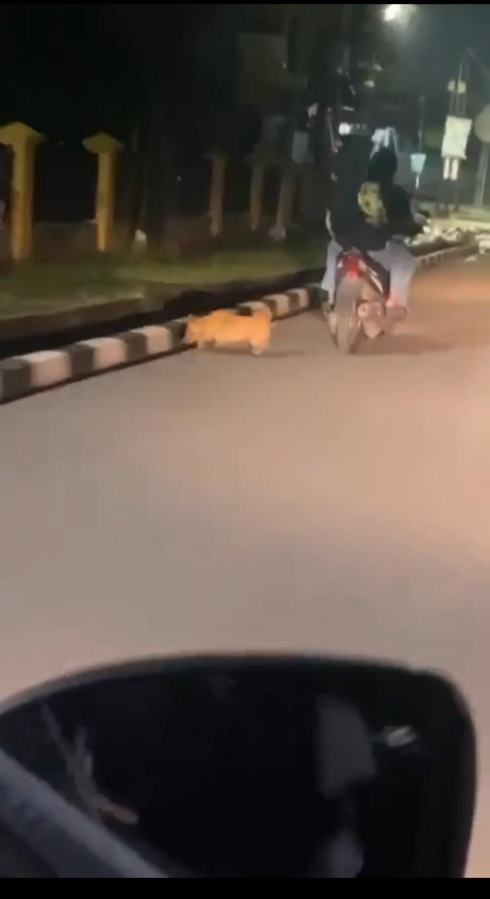 TEGA! Video Anjing Diseret Pakai Motor Viral di Kota Jambi, Kapolresta: Kami Akan Selidiki Pelaku 