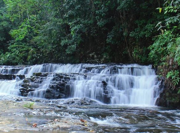 Wisata Alam Geopark Merangin, Ada Fosil Flora Berusia 350 Tahun