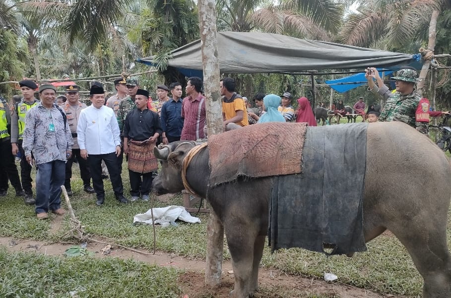 Tercatat sebagai Budaya Nasional: Al Haris Harap Bantai Adat Tabir Terus Dilestarikan