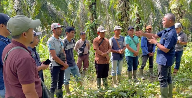 Region Head PTPN IV Regional 4 Jambi-Sumbar Laksanakan Kunjungan Ke Unit Usaha Batanghari