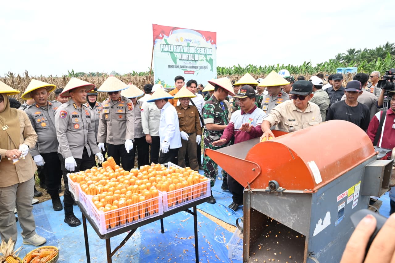 Dukung Program Ketahanan Pangan, Polda Jambi Gelar Panen Raya Jagung Kuartal III