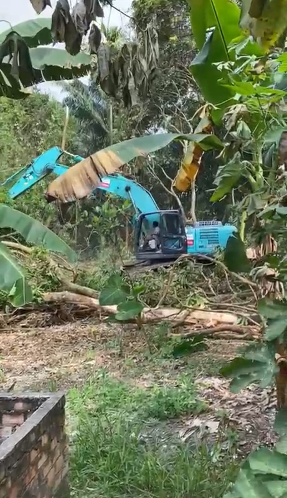PT SAS Turunkan Alat Berat Buka Jalan Stockpile Batu Bara, Warga Aurduri akan Gelar Aksi