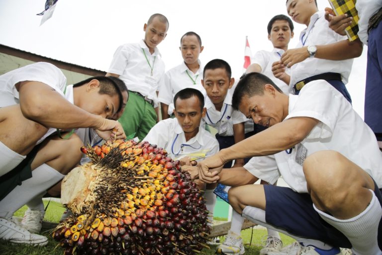 Mulai 1 Februari BBM Sawit Sudah Dijual di SPBU, Apa itu BBM Sawit dan Amankah untuk Mesin Kendaran?