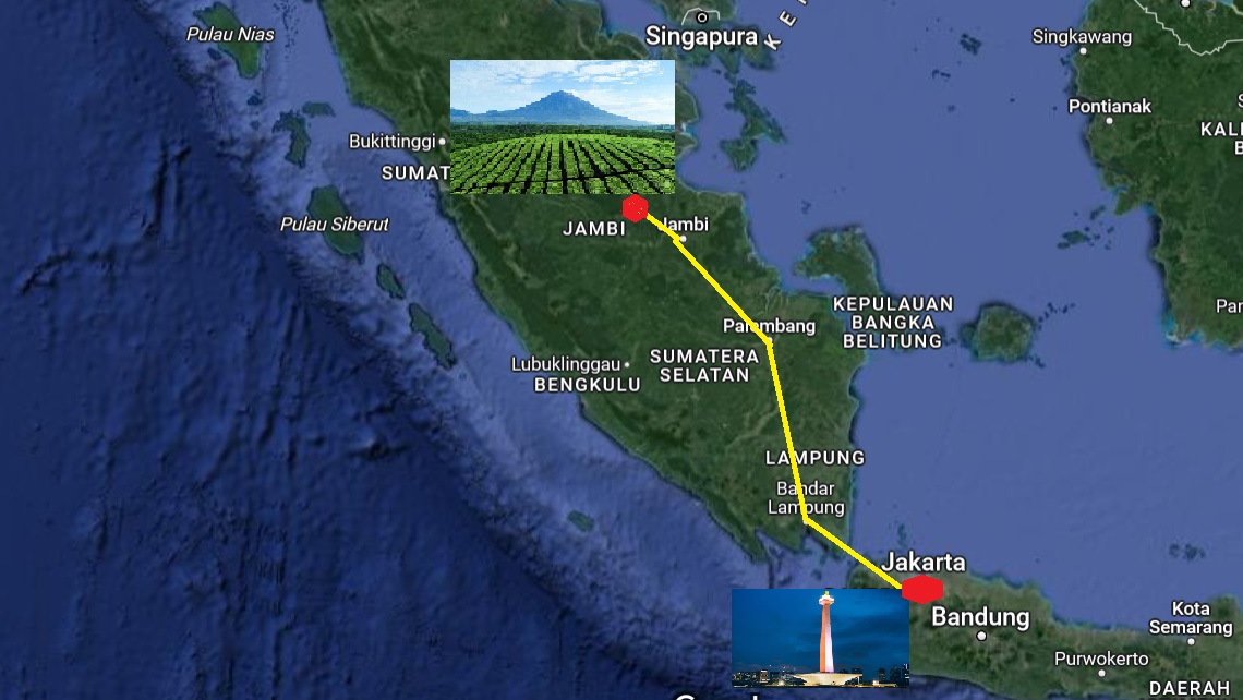 Target Jokowi Orang Jakarta Bisa Nginjak Kaki Gunung Kerinci Pergi Malam Sampai Sore Via Tol Palembang-Jambi