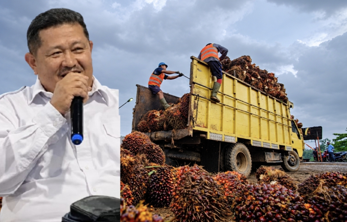 Harga TBS Naik, Petani Sawit Jambi Belum Tersenyum karena Panen Turun hingga 30 Persen
