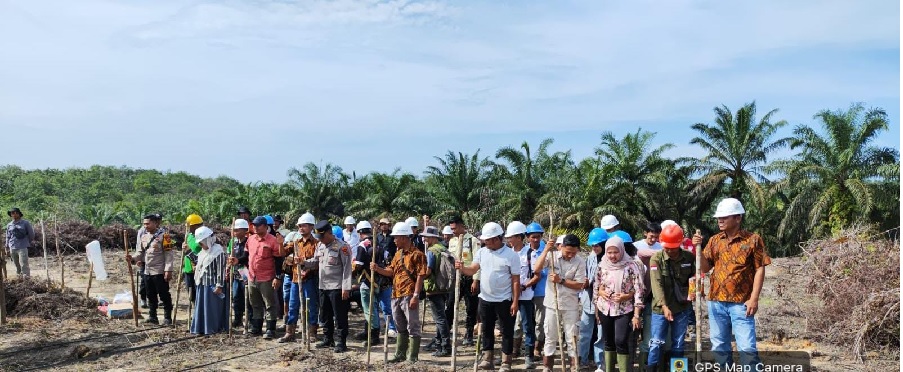 Dukung Ketahanan Pangan, PT Bukit Barisan Indah Prima Tanam Jagung Pakan di Areal Perkebunan