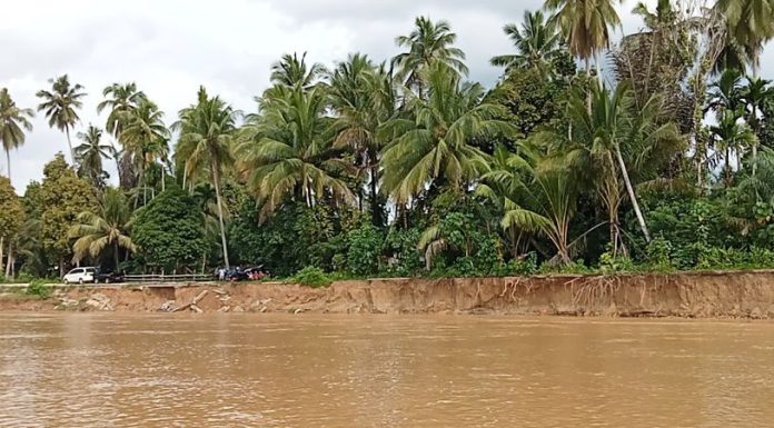 Dihantam Arus Sungai, Tebing di Pulau Aro Terancam Runtuh