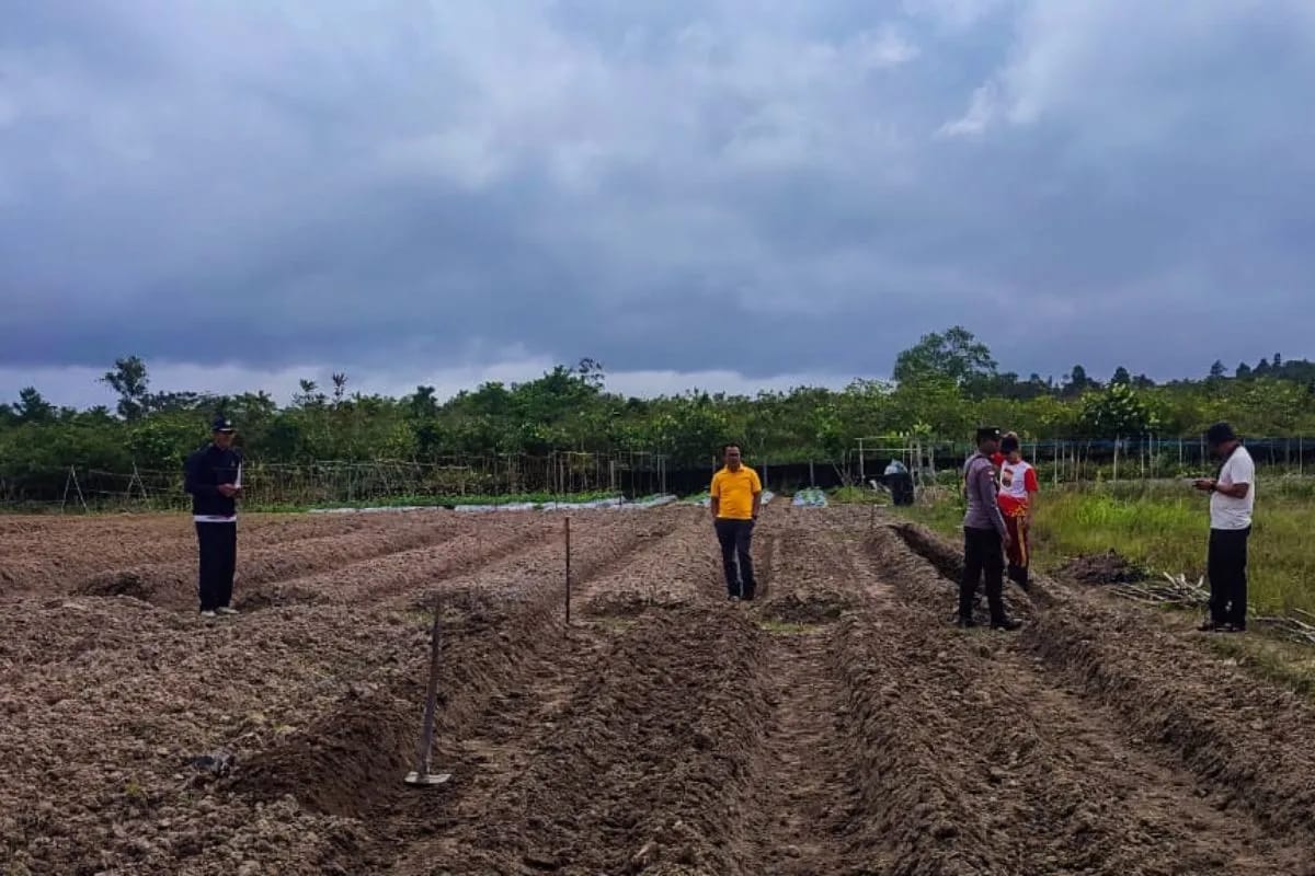 Polres Natuna Siapkan Lahan 1,5 Hektare Untuk Tanam Jagung