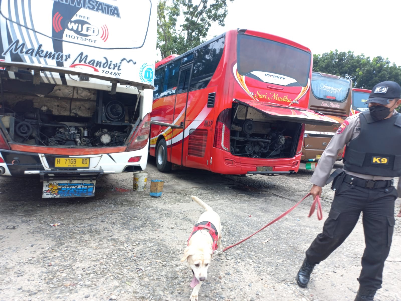 Dua Ekor Anjing Pelacak Spesialisasi Pelacakan Narkotika Dikerahkan