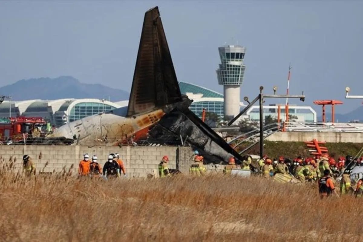 Peringatan Tabrakan Burung Dikeluarkan Sesaat sebelum Jeju Air Jatuh