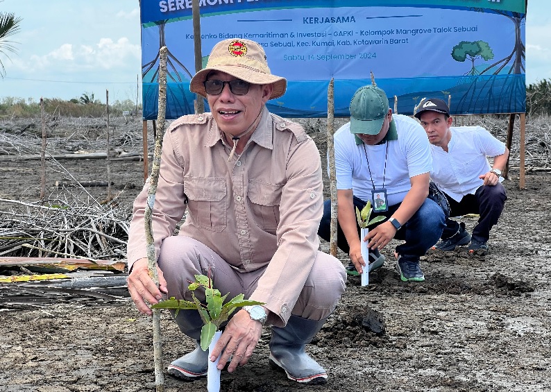 Potensi Abrasi Kalteng Tinggi, GAPKI kelola 50 Hektar Lahan Mangrove