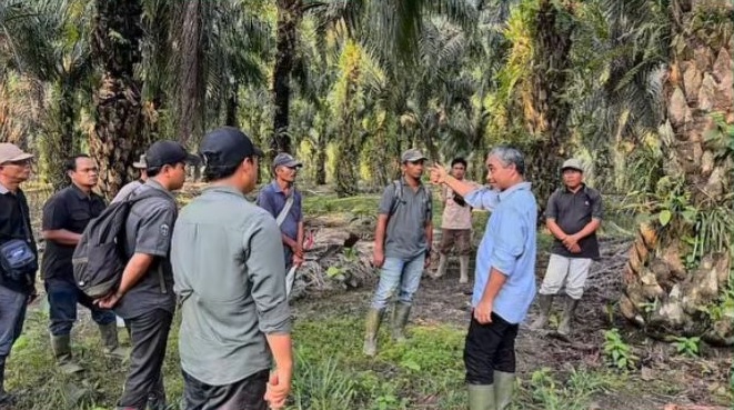 Tekankan Perbaikan Infrastruktur, Region Head PTPN IV Regional 4 Kunjungi Kebun Bukit Cermin