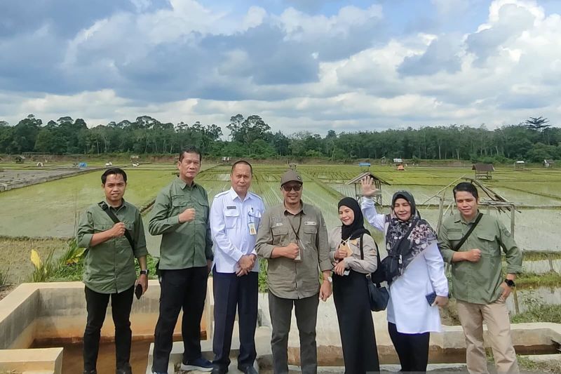 Pemprov Jambi Usulkan Lahan Optimasi 7.000 Ha ke Kementan