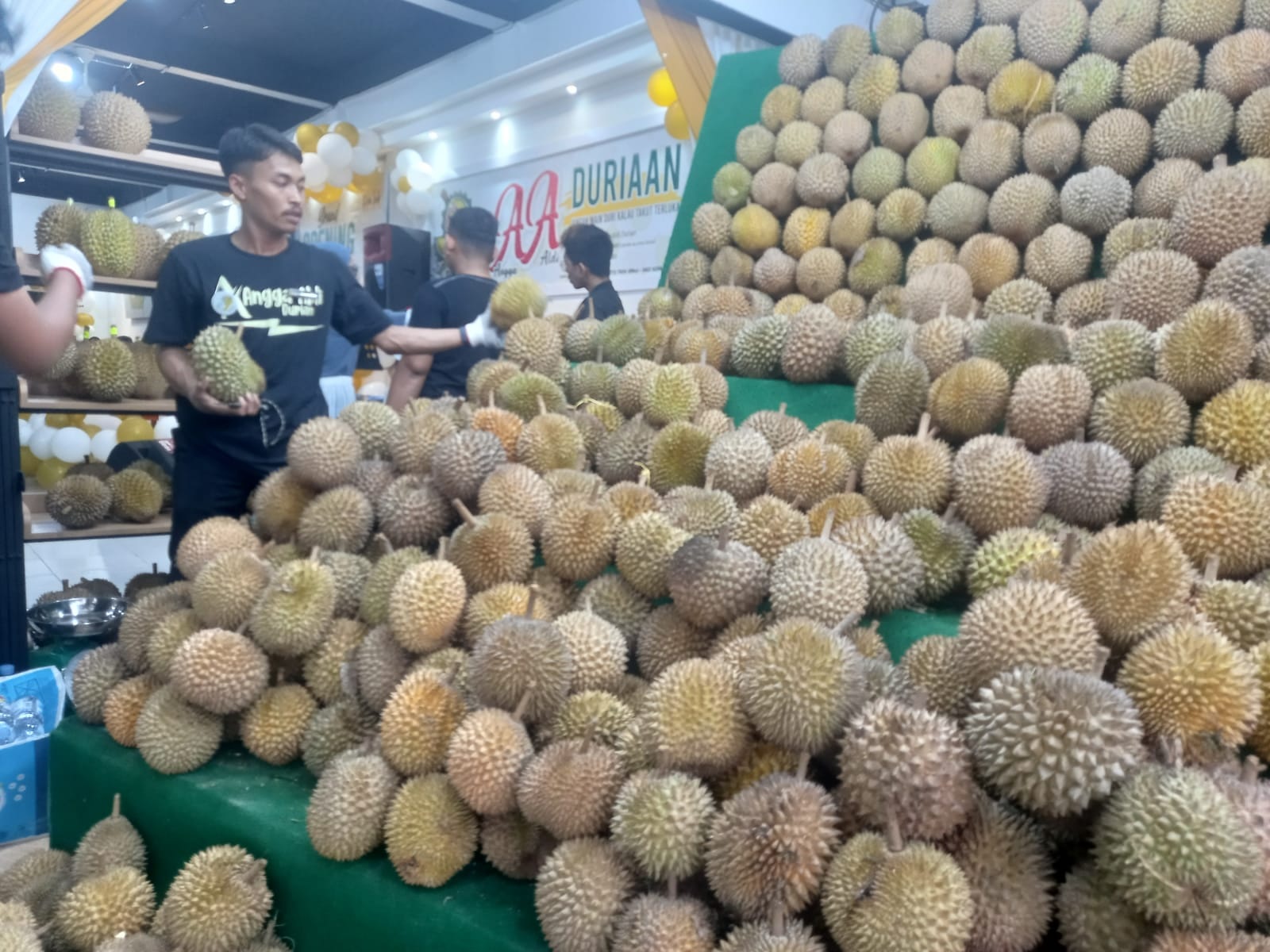 Ada Tempat Makan Durian Baru di Kota Jambi,  Nyaman dan Harganya Terjangkau