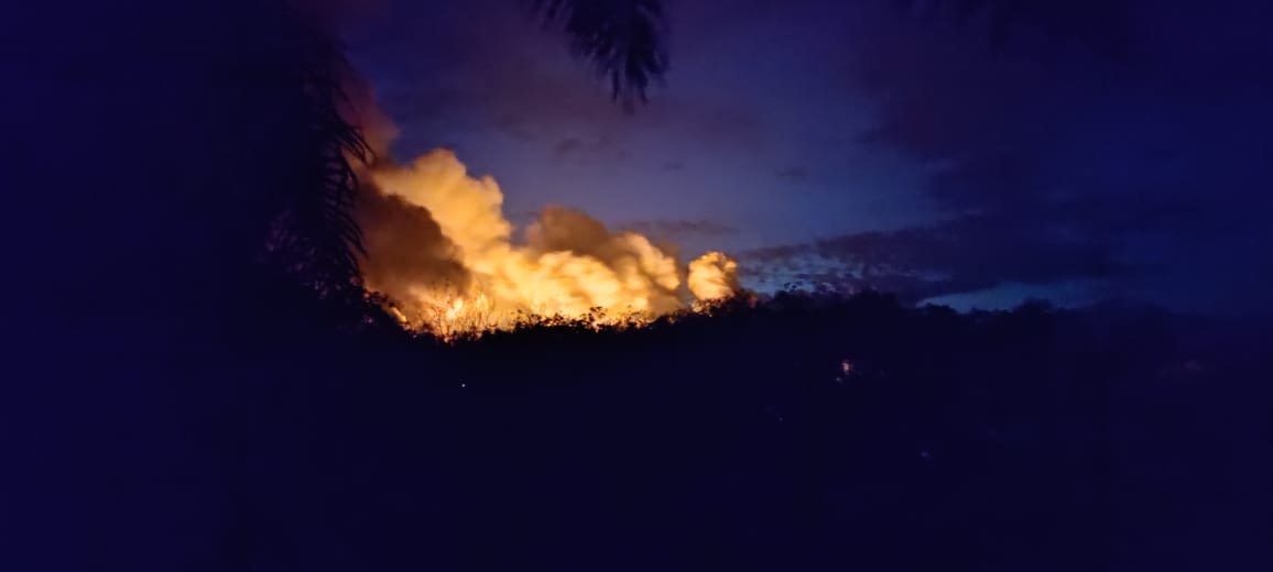 Sumur Minyak Illegal di Kabupaten Batanghari Meledak, Hingga Kini Api Belum Padam