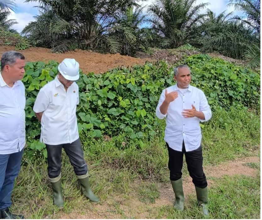 Lanjutkan Monitoring Evaluasi Pencapaian, Region Head PTPN IV Kunjungi Unit Kebun dan PKS Solok Selatan